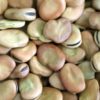 Fava Beans, Large, Whole 55#