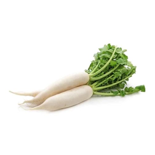 Daikon, White Long OG 20#