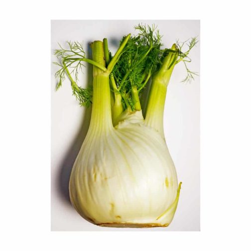 Fennel Bulbs OG   10#