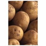 Potatoes, Kennebec White OG   50#