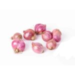 Shallots, Cured Conservor Red OG   10#